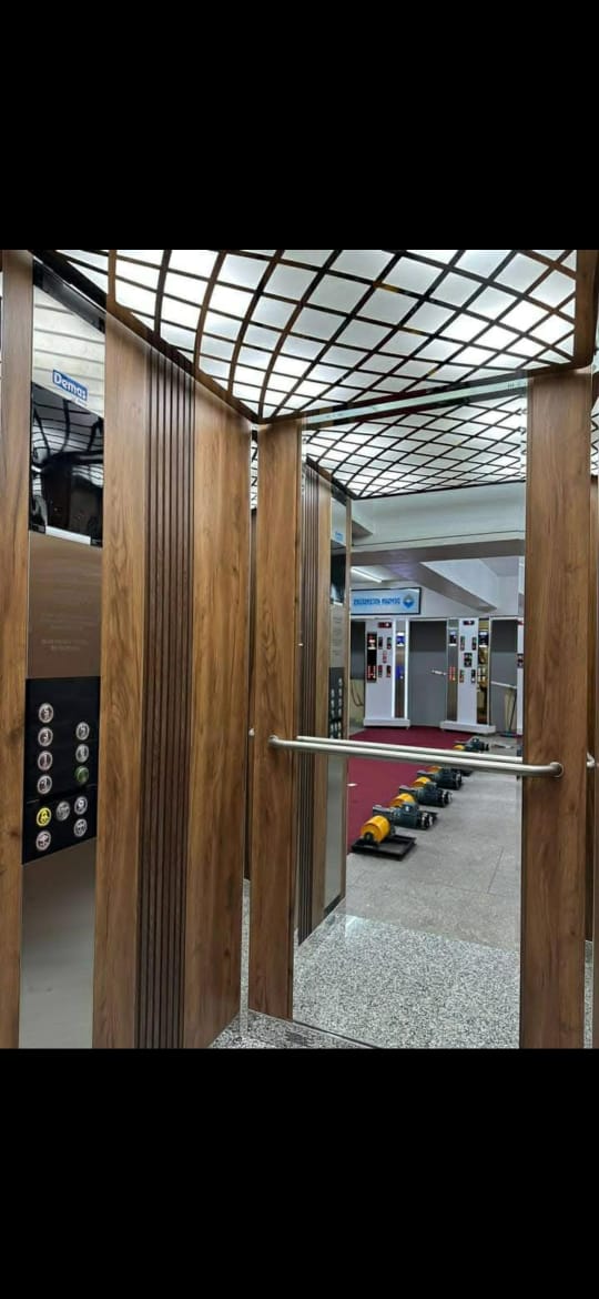 Installation Ascenseur Cabine Finition Élégance Bois